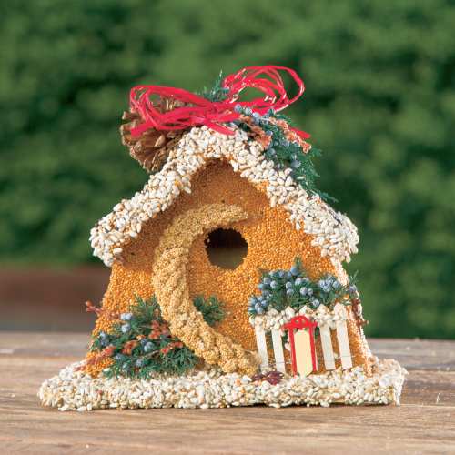 Birdie's Bed and Breakfast Chalet Edible Birdhouse